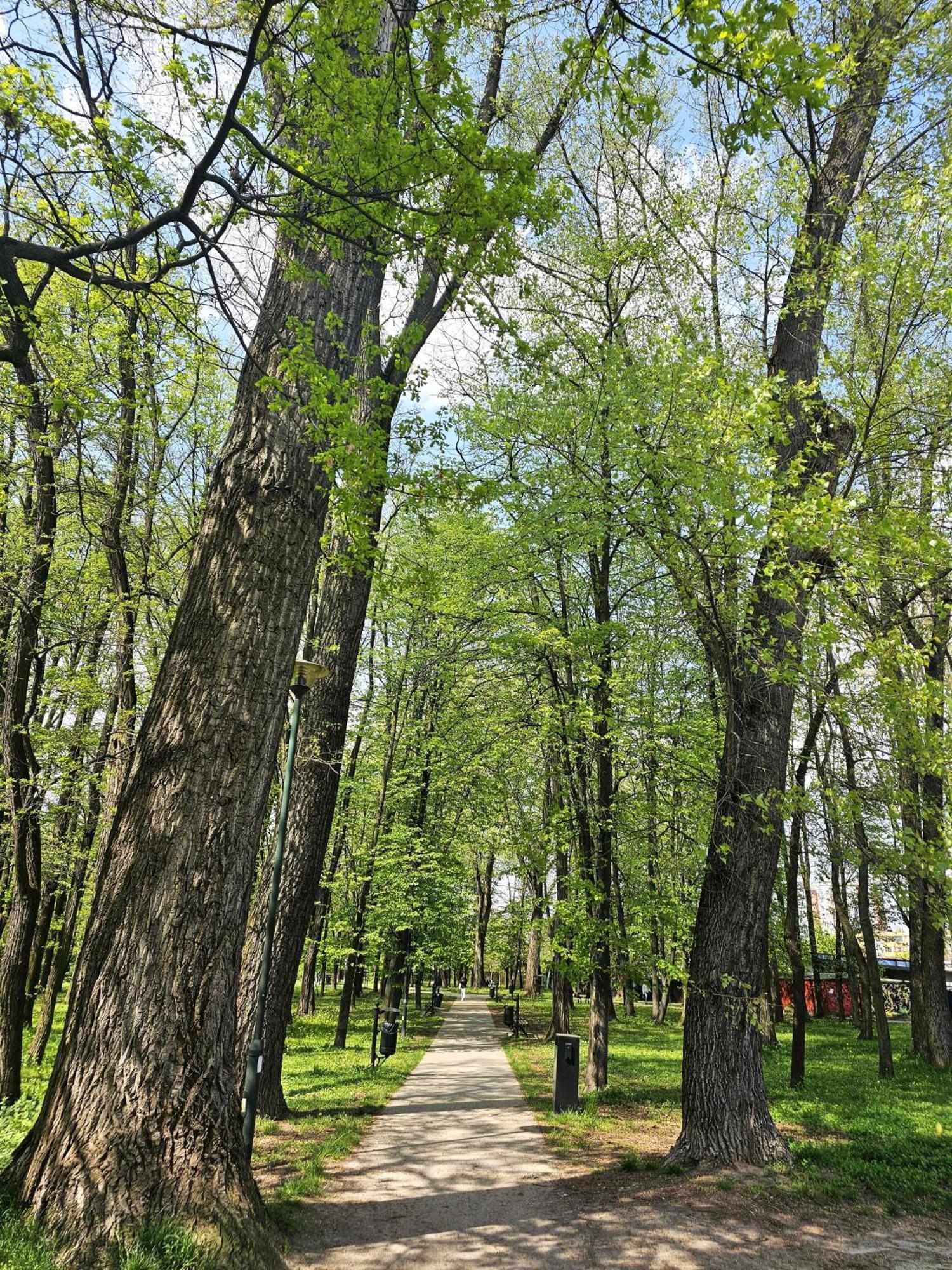 Apartament Park